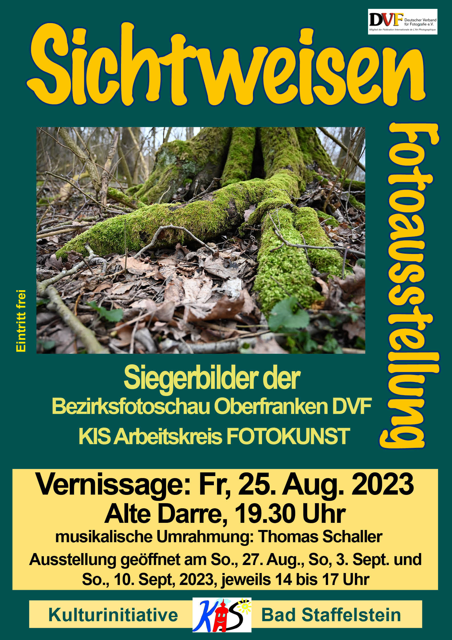 Sichtweisen DVF